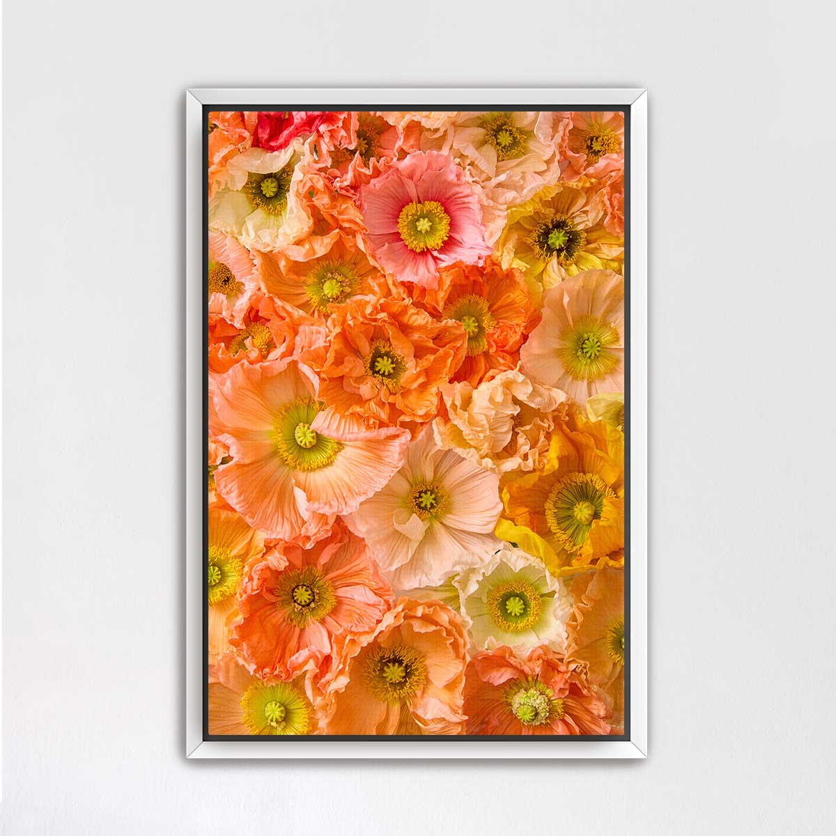 The image is a vibrant and colorful collage of various flowers, including poppies, peonies, and other blooms, arranged in a visually appealing manner.