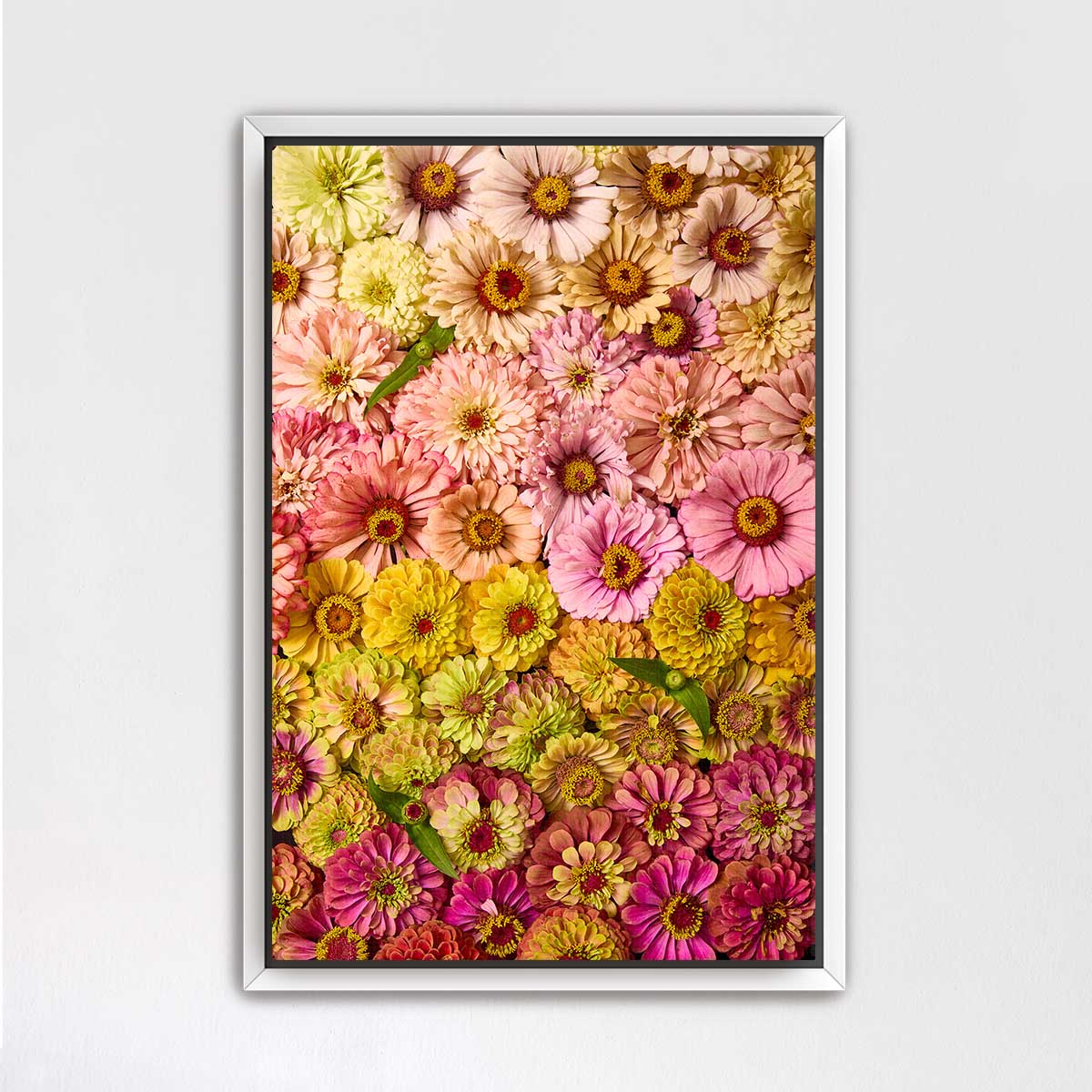 The image is a vibrant and colorful collage of various flowers, including daisies, roses, and lilies, arranged in a visually appealing manner.