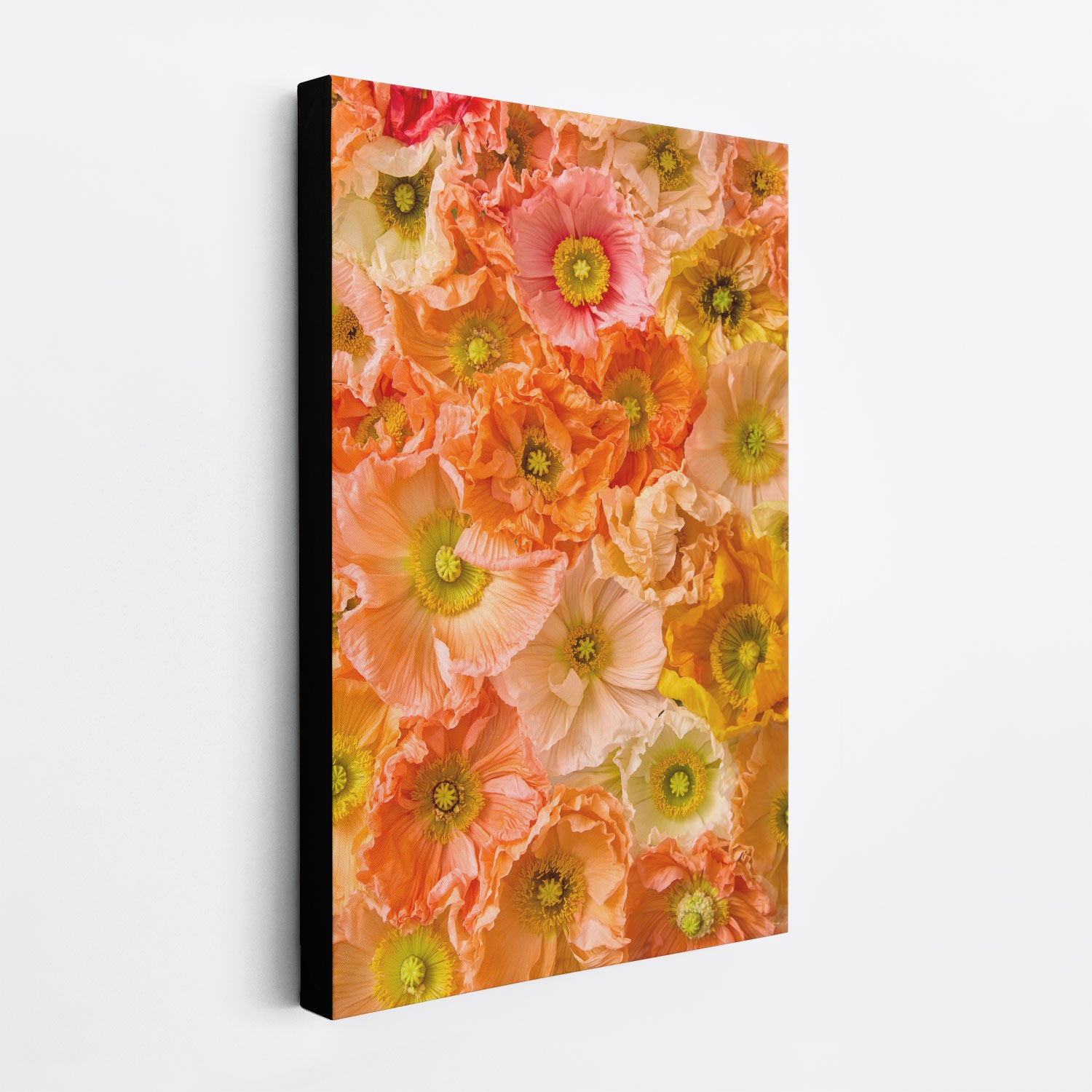 The Petals of Light canvas wall art displays a vibrant, dense arrangement of Italian pastel poppies in pink, orange, yellow, and peach. These colorful petals with green centers fill the frame against a neutral white background.