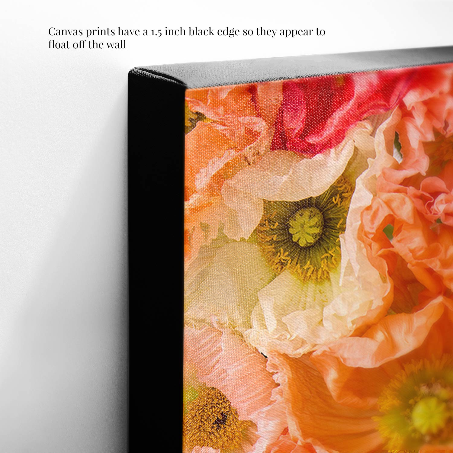 Close-up of Petals of Light canvas wall art, featuring a 1.5-inch black edge that gives a floating effect. The vibrant orange and pink floral artwork is reminiscent of Italian pastel poppies.