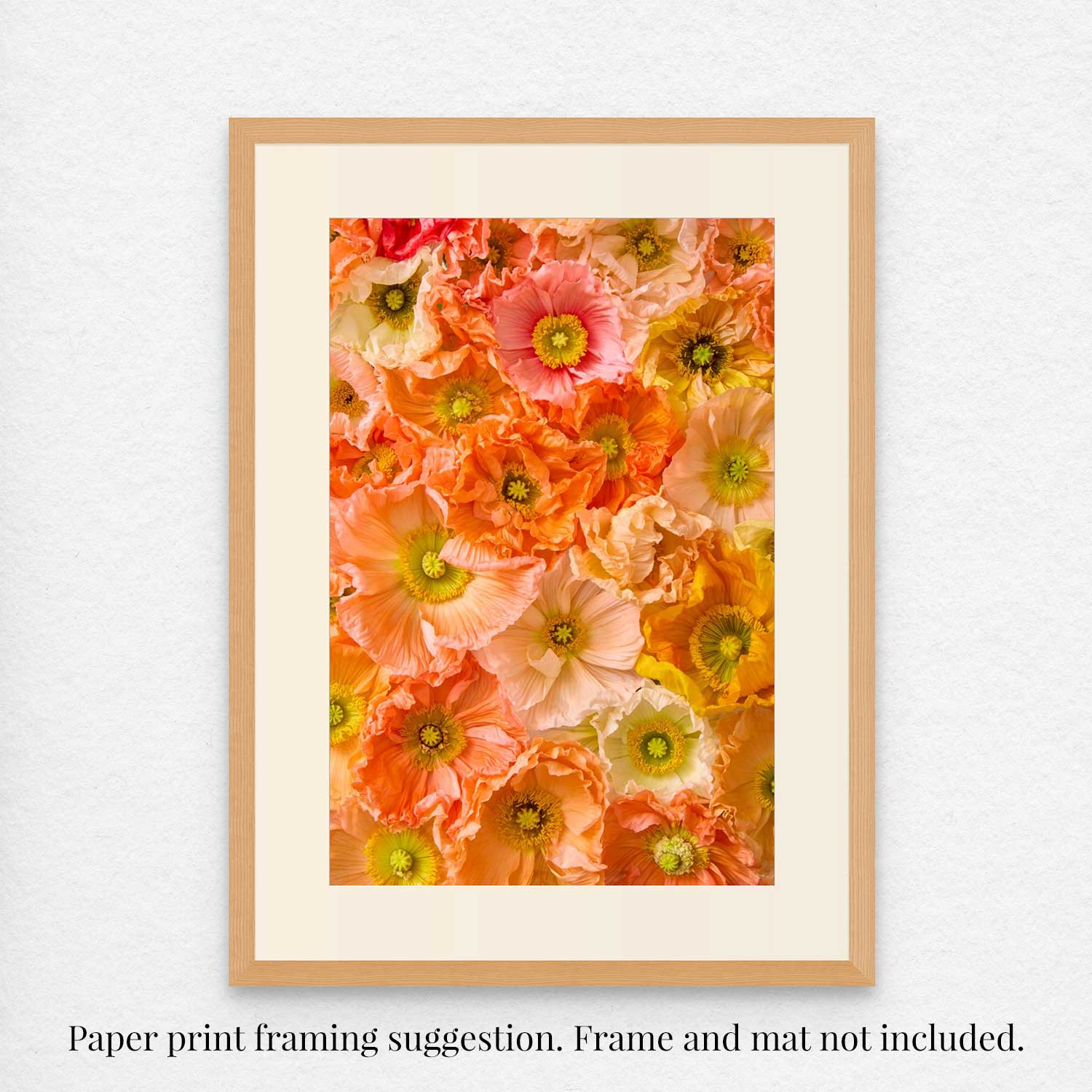 The Poppy Bed - Petals of Light is a vibrant framed print featuring dense orange, pink, and yellow Italian pastel poppies with delicate petals on fine art paper. It offers an option for both framing and matting.