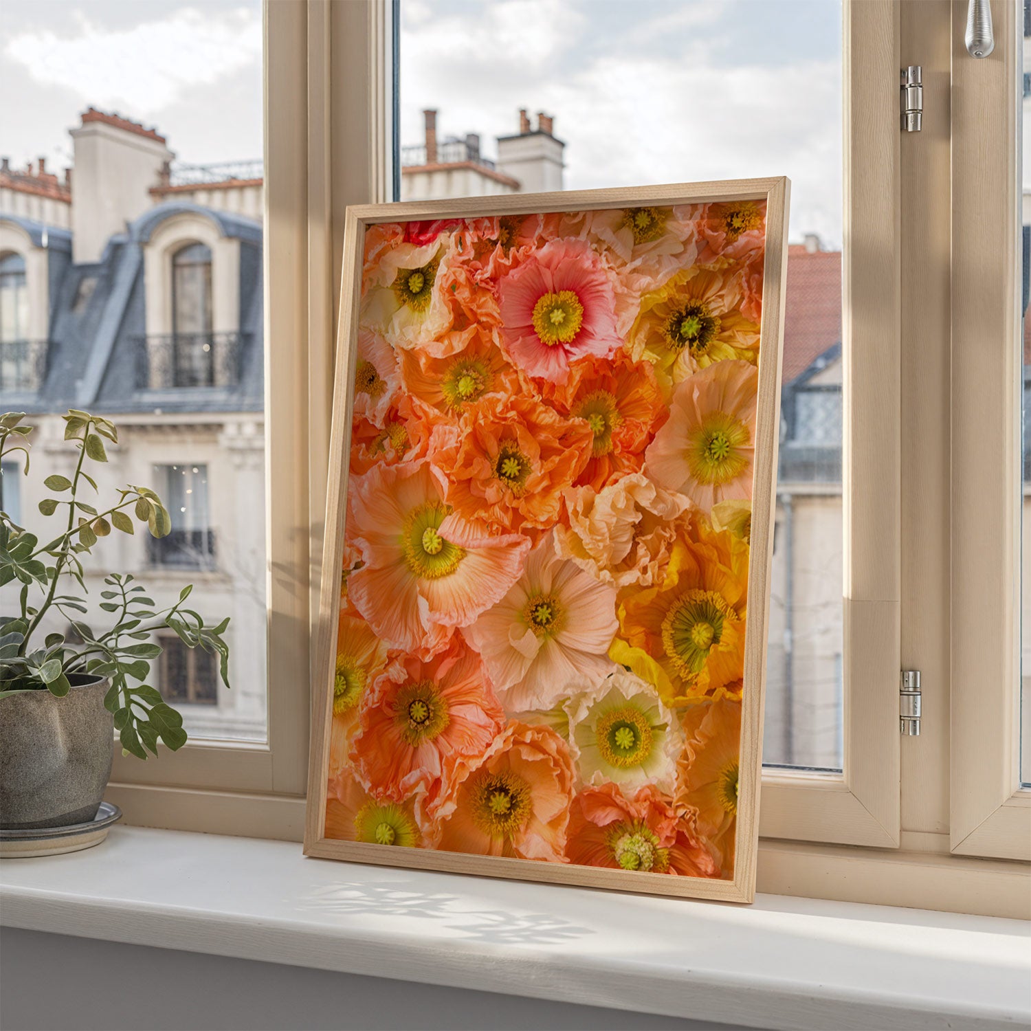 The Petals of Light framed canvas wall art, featuring pink, orange, and yellow flowers, is set against a window with a cityscape view. A potted plant on the window ledge complements the scene with a touch of nature.