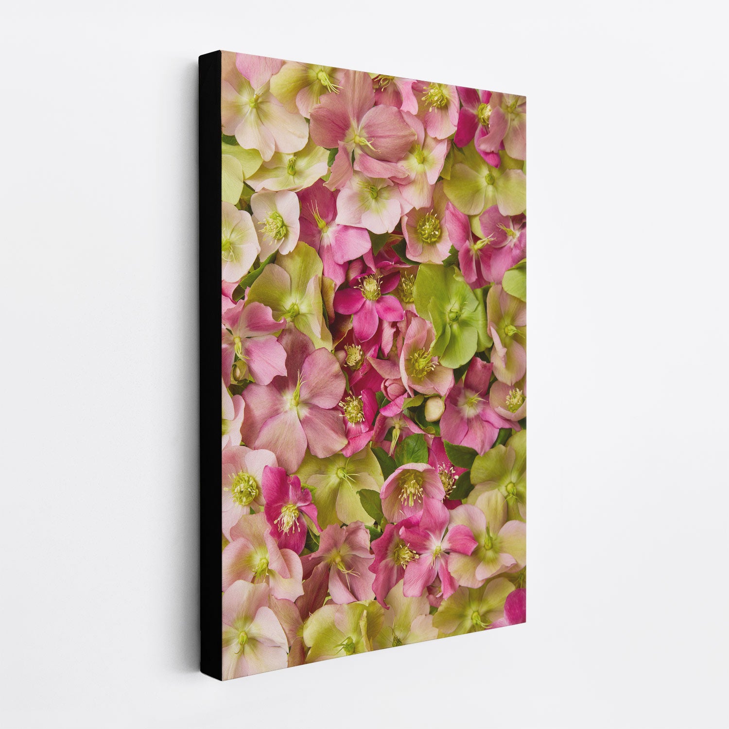 The Winter Roses fine art print on canvas exhibits a lively pattern of pink and green hydrangeas set against a white background. This exquisite piece showcases delicate petals, lush colors, and is elegantly framed with black edges.