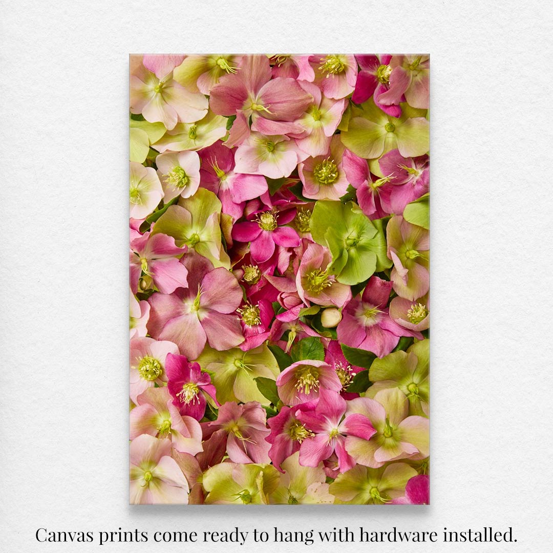 The Winter Roses rectangular canvas wall art print features a dense cluster of pink, green, and white flowers. It comes ready to hang with hardware installed.