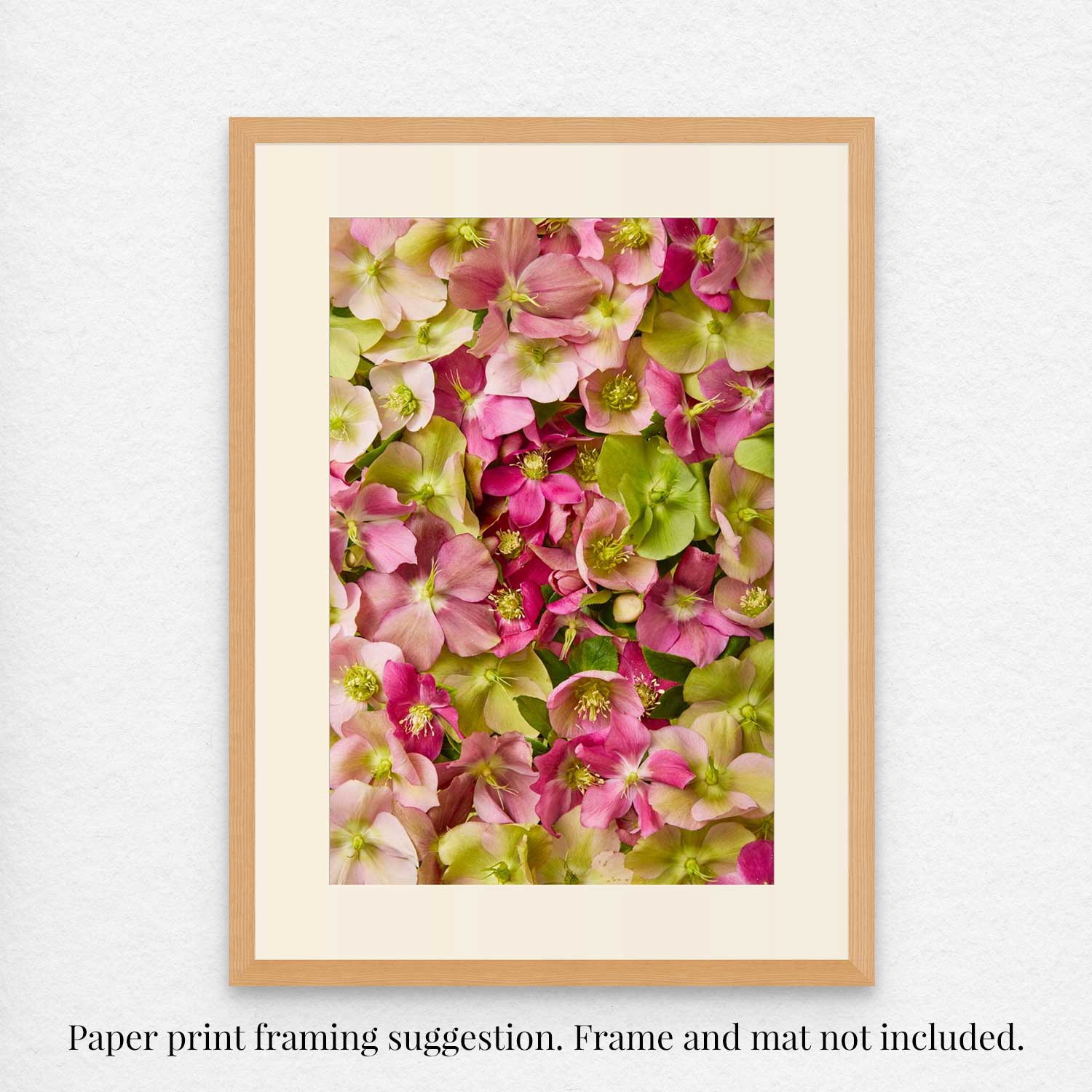 The Winter Roses art print showcases pink and green flowers in a wooden frame. A note below reads: Paper print framing suggestion. Frame and mat not included.