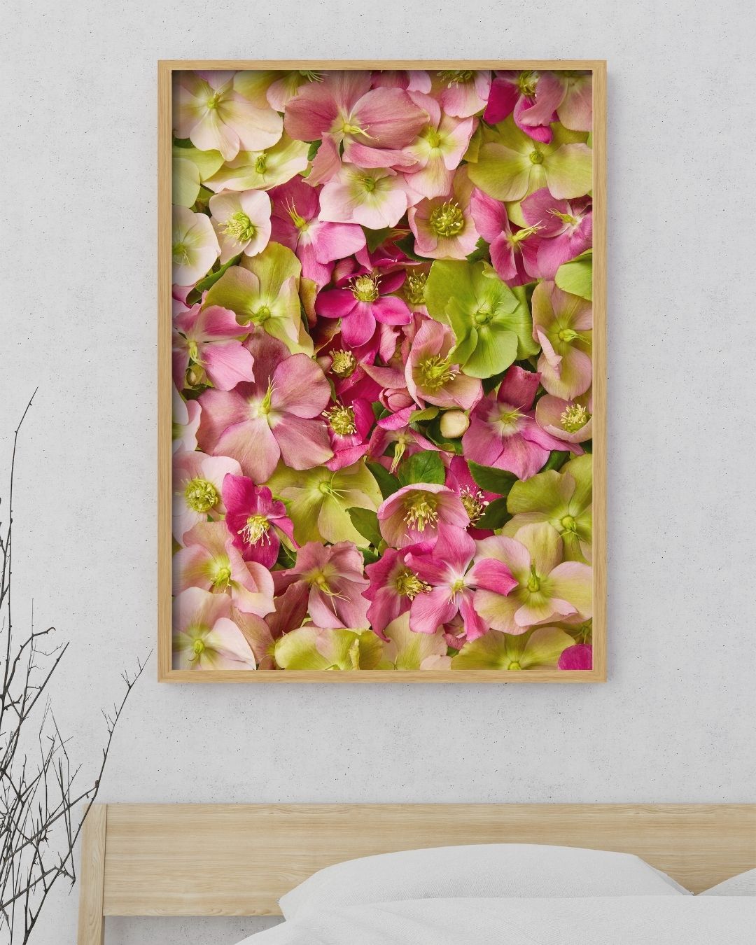 The Hellebore Bed - Winter Roses framed canvas wall art, displaying pink and green hellebores, hangs on a light gray wall above a wooden headboard, with sparse twigs at the left edge adding nature-inspired elegance.