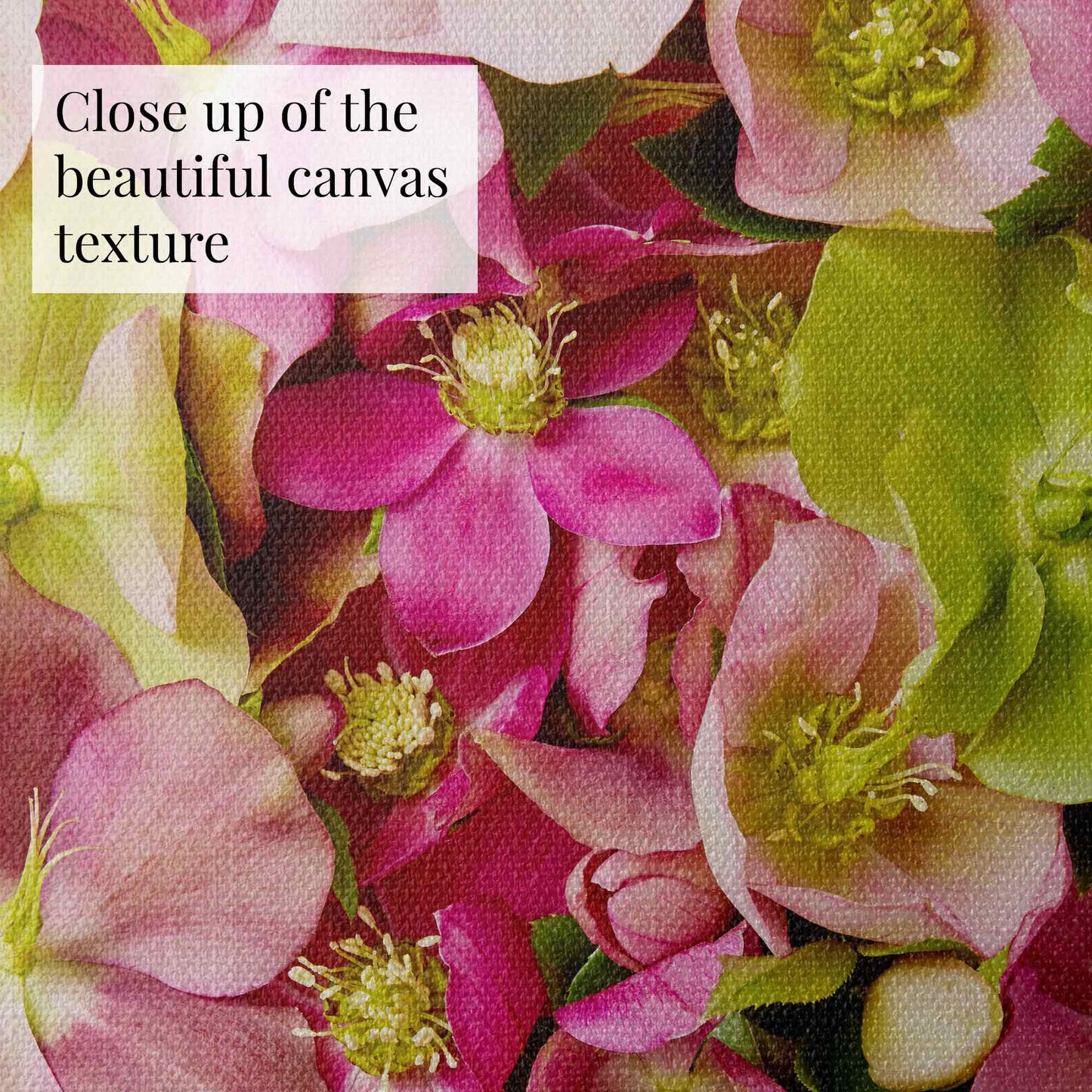 Close-up of the canvas print texture of Hellebore Bed - Winter Roses wall art showcasing pink and green hellebores. 