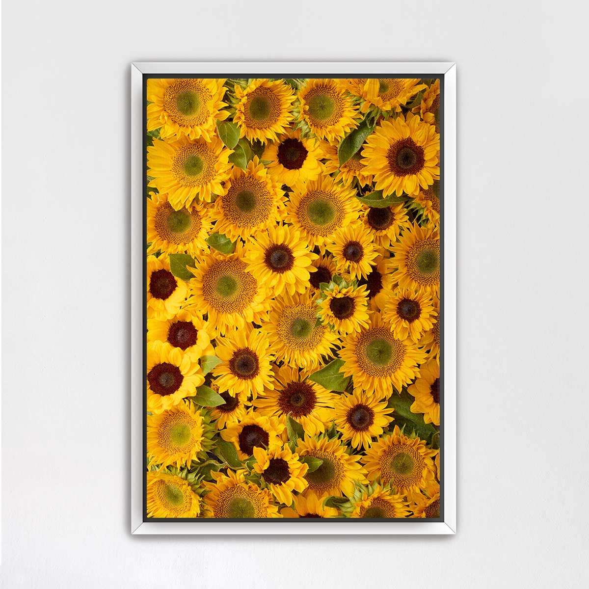 The image is a framed collage of numerous vibrant sunflowers, each with a yellow petal and green center, creating a visually striking and colorful display.