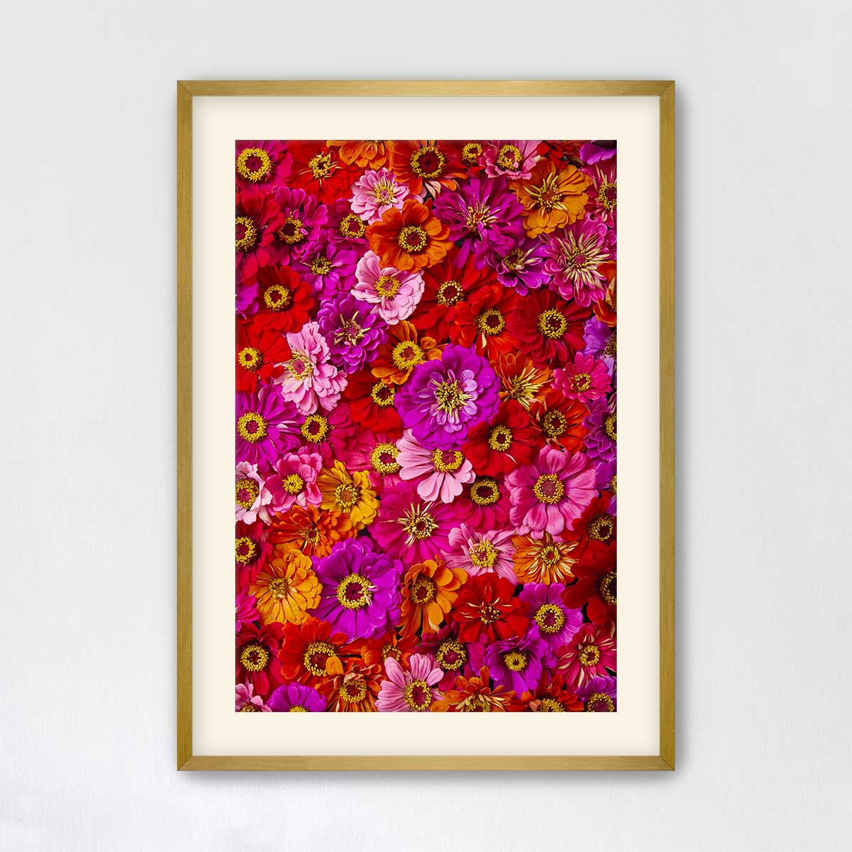 The image is a vibrant collage of various colorful flowers, including red, pink, orange, and yellow blooms, arranged in a visually striking manner.