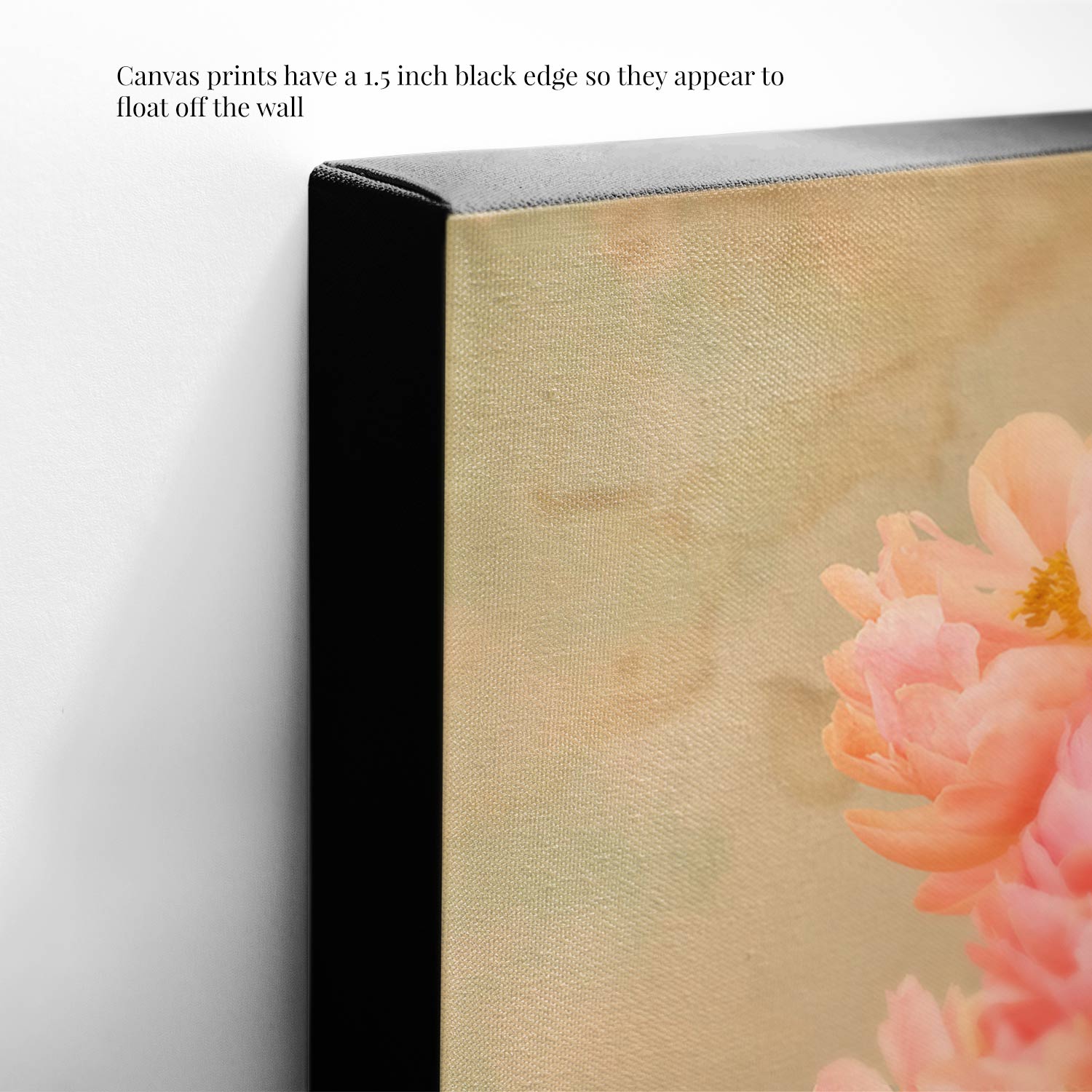 Close-up of Coral Radiance, canvas wall art, showcasing a pink flower like Coral Charm peonies. Canvas has a 1.5-inch black edge for a floating effect.