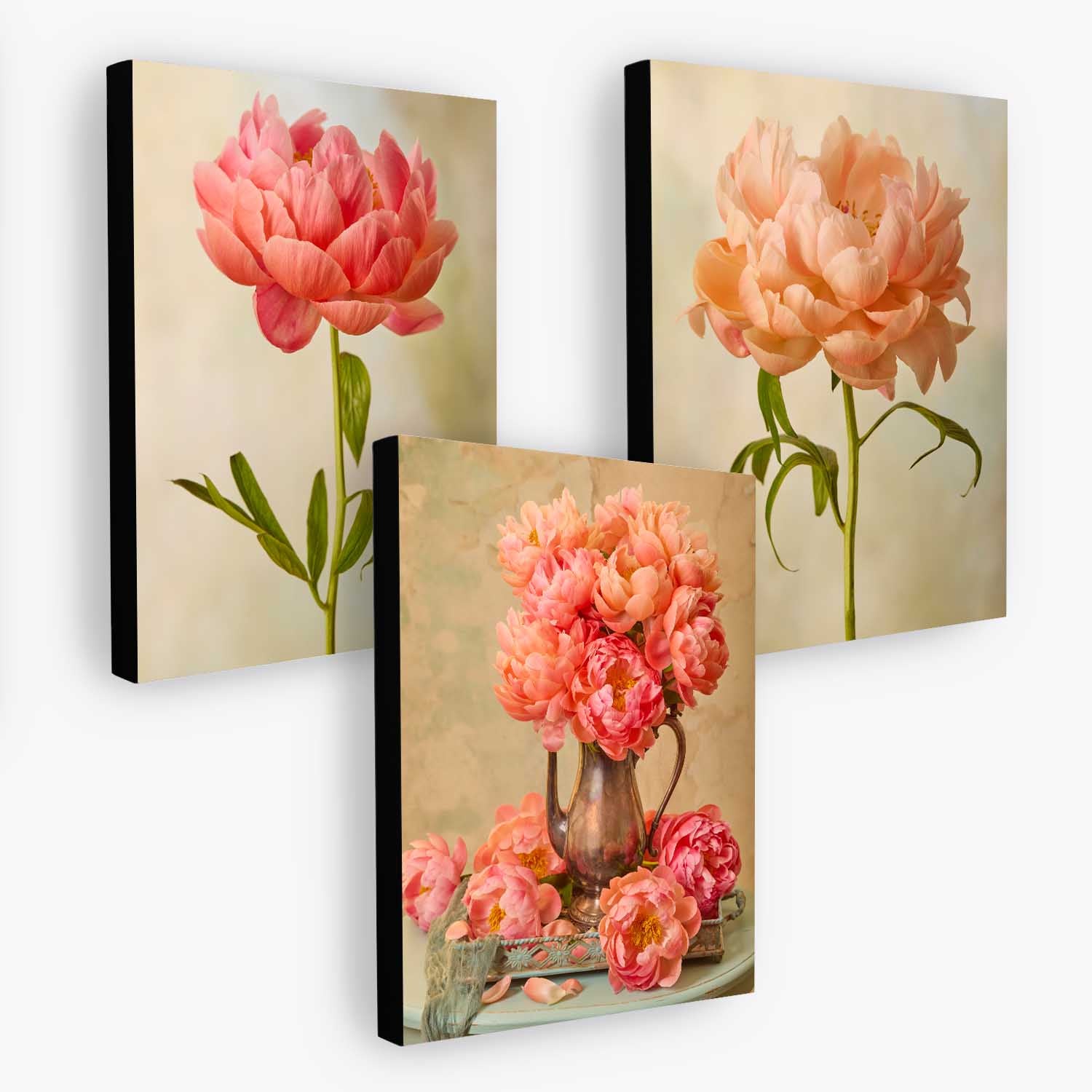 Coral Charm Arrangement- 3 Piece Art Set