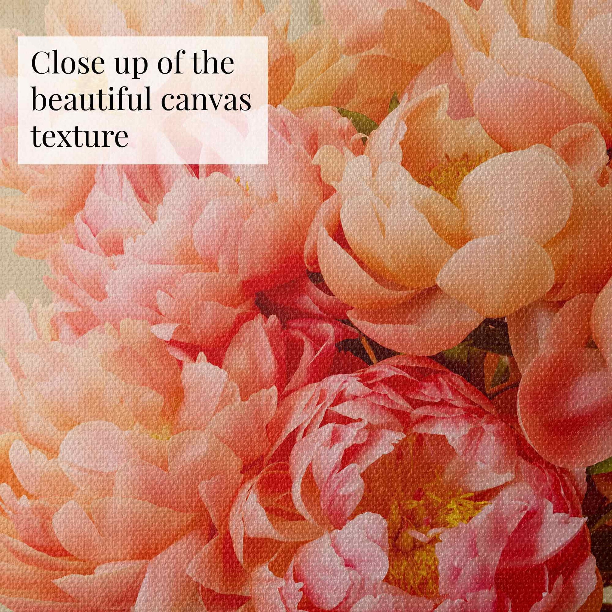 A detailed look at the Coral Radiance canvas wall art reveals vibrant pink and orange Coral Charm peonies on textured canvas. The texture enhances the colors, offering a rich visual effect. A text overlay reads, Close up of the beautiful canvas texture.