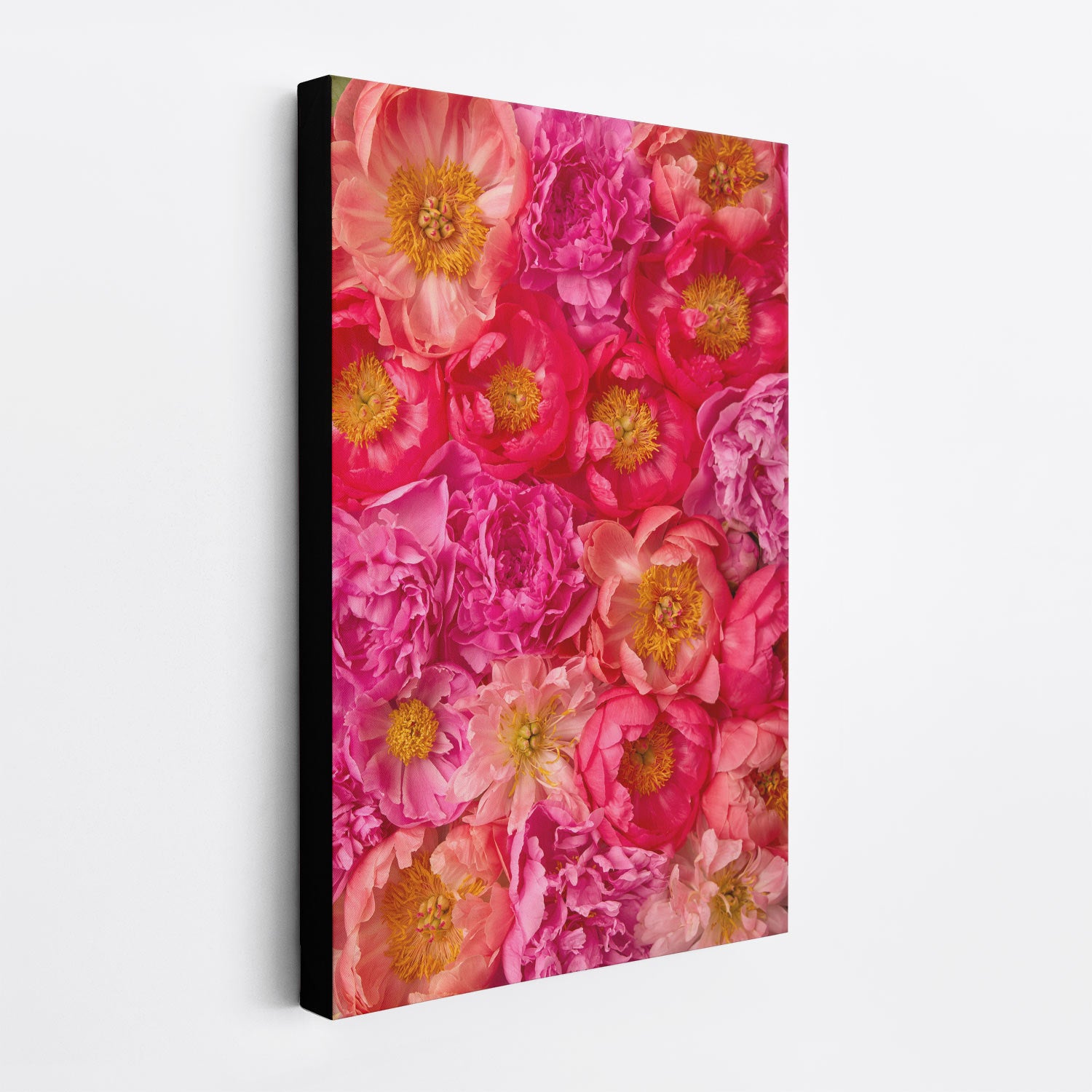 The Radiant Dreams canvas wall art features an intricate display of pink and red peonies with yellow centers against a white background, subtly revealing the black edge of the fine art print on the left side.