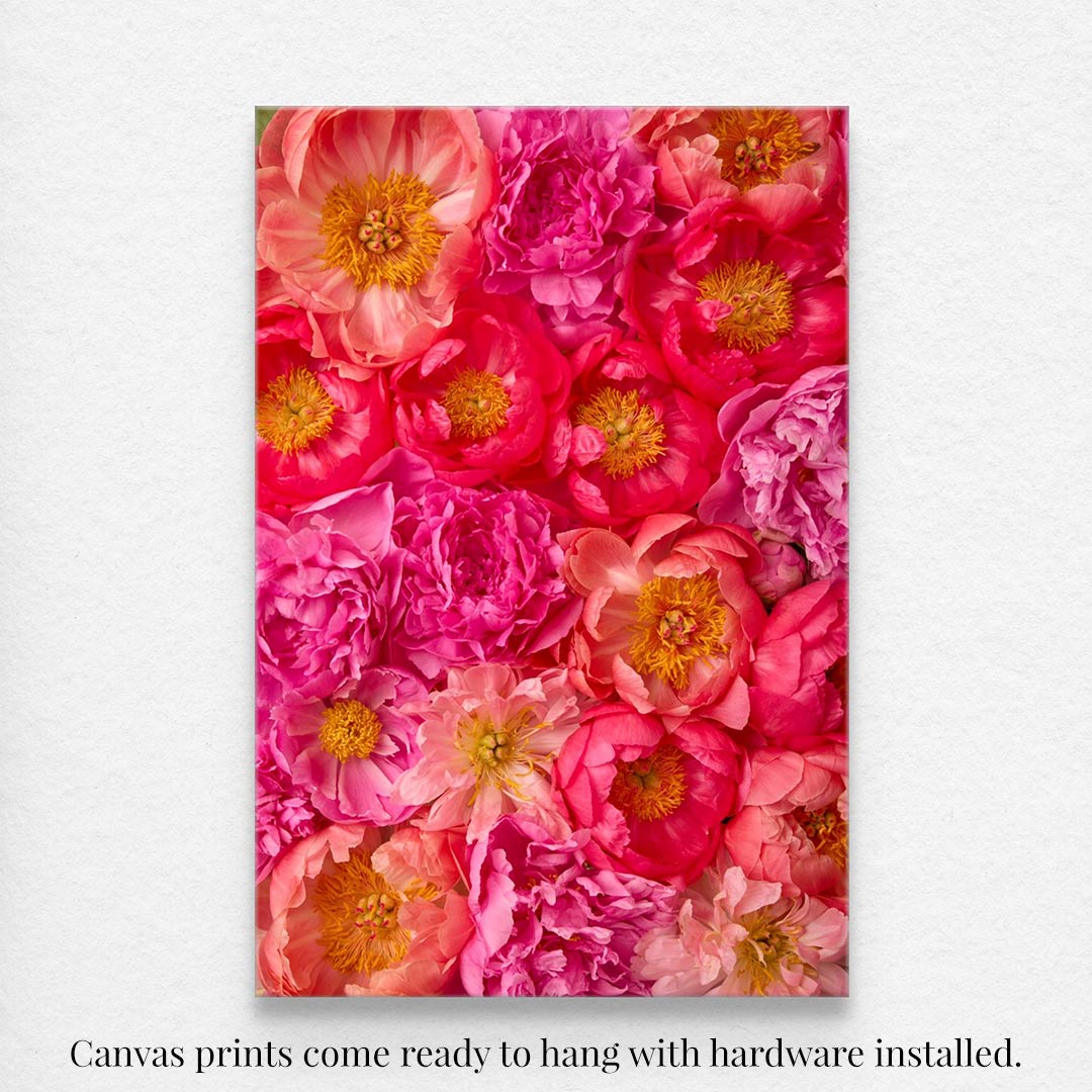 The Radiant Dreams canvas wall art showcases vibrant pink and orange flowers with yellow centers. It comes ready to hang with hardware installed.