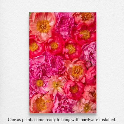 The Peony Bed - Radiant Dreams canvas print showcases a vibrant arrangement of pink and orange peonies with yellow centers. It comes ready to hang with hardware installed.