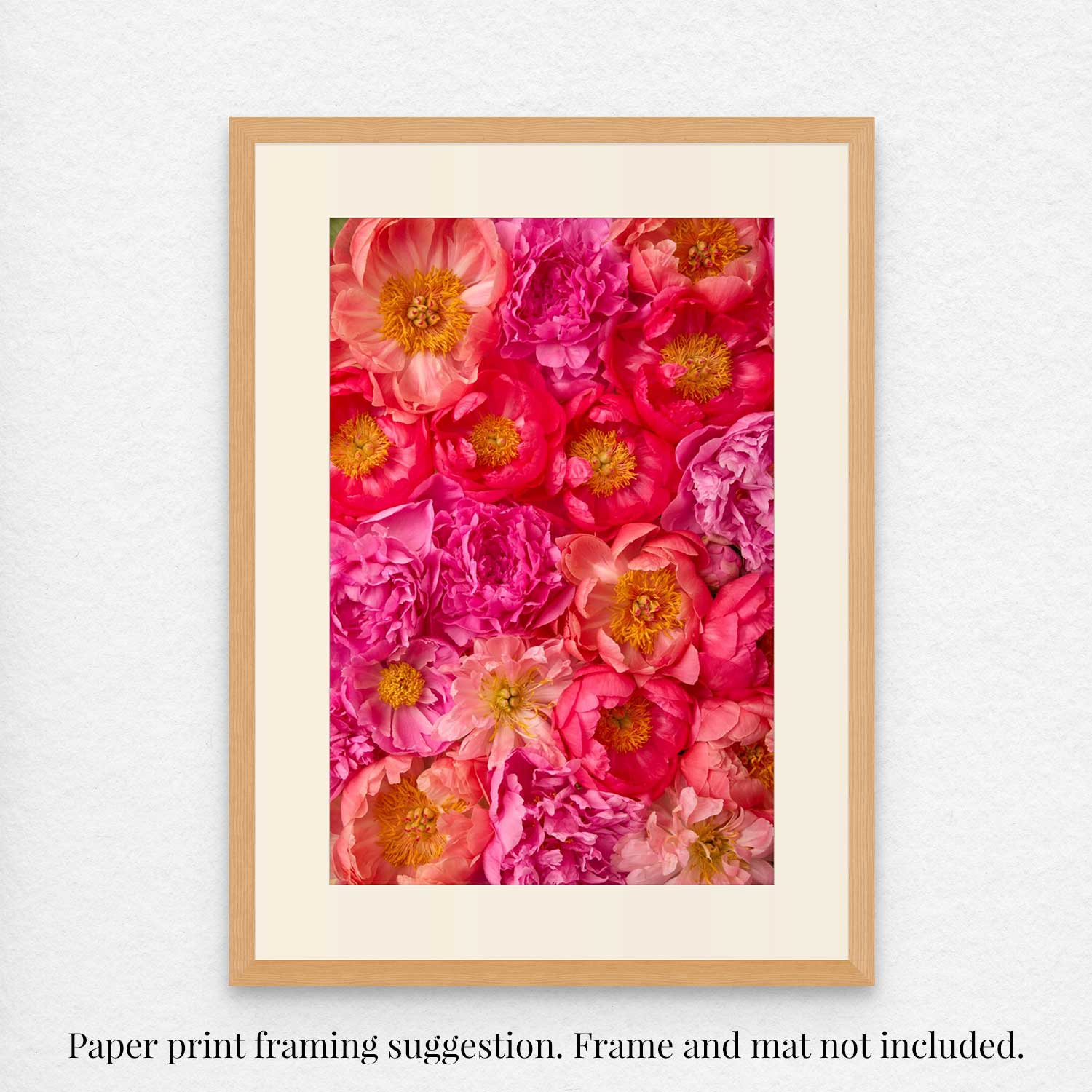 The Radiant Dreams artwork features a vibrant fine art print of pink and coral peonies in a wooden frame, exhibiting layers and shades of peony perfection. Note: Frame and mat not included.