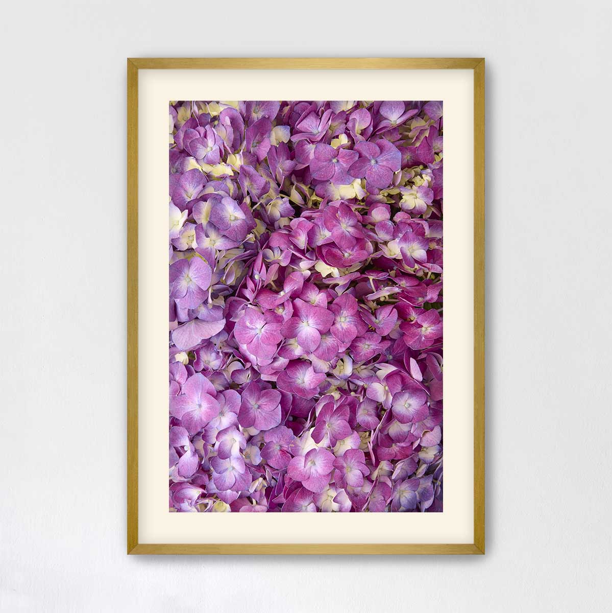 The image is a framed photograph of a close-up view of a cluster of purple flowers.