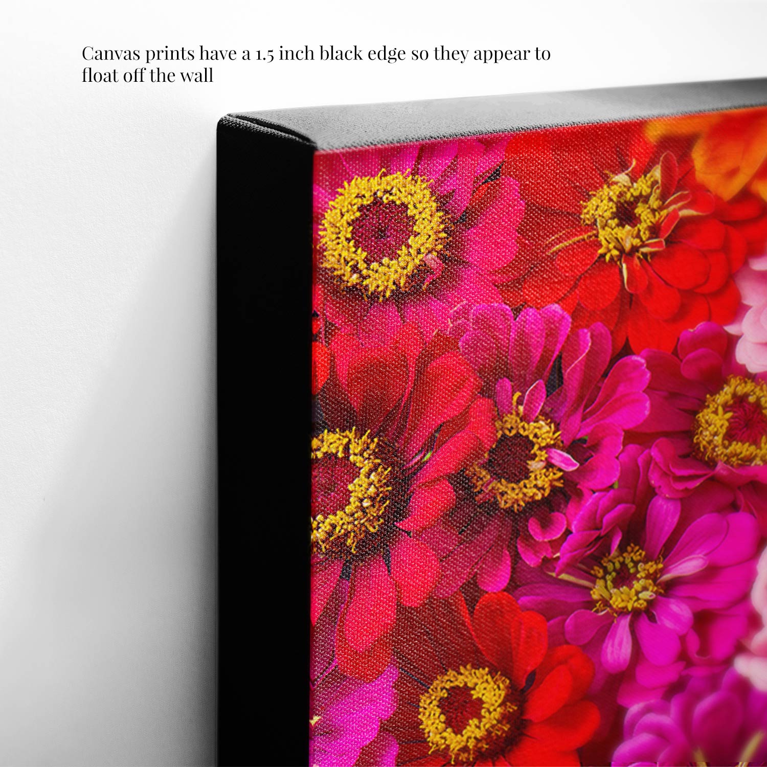 Close-up of Zinnia Bed - Electric Radiance canvas with vibrant pink and red zinnias with yellow centers. The canvas features a 1.5-inch black edge, creating a floating appearance when displayed on the wall.