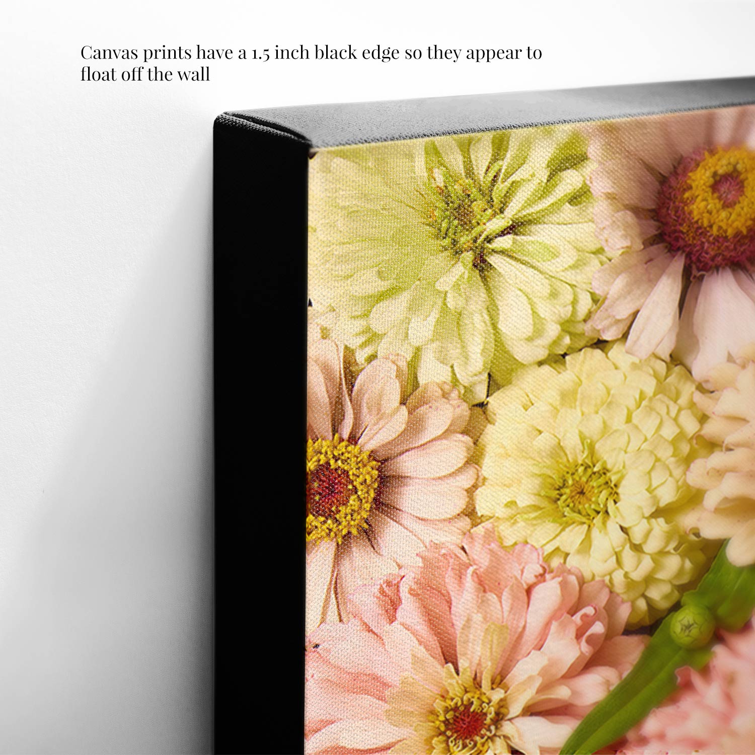 Close-up of Zinnias Dawn To Dusk canvas wall art print with pink, white, and yellow zinnias. It features a 1.5-inch black edge, creating a floating effect off the wall.