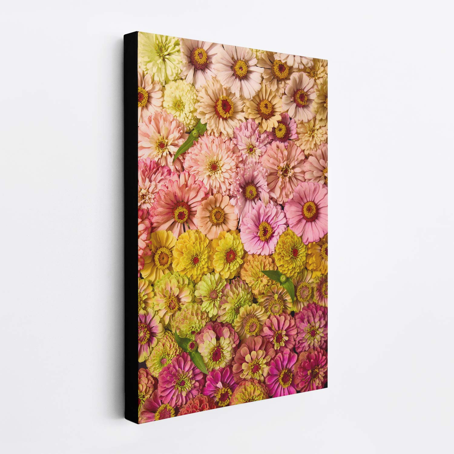 The Zinnias Dawn To Dusk canvas wall art features a vibrant, densely packed floral tapestry of zinnias in pink, yellow, purple, and orange against a plain white background.