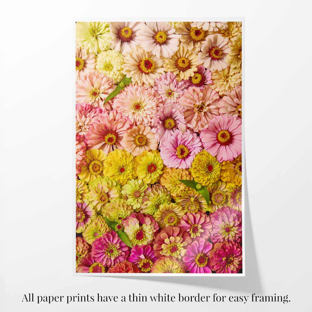 The Zinnias Dawn To Dusk print features a vibrant collage of pink, yellow, and orange zinnias with small green parrots. Its printed on fine art paper with a thin white border for easy framing.