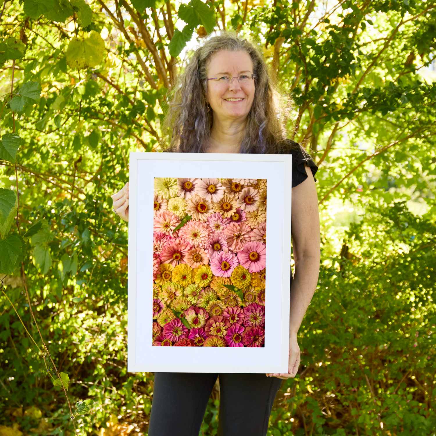 Christina Peters holding Zinnias Dawn To Dusk Wall Art Print, a vertical close-up of zinnias arranged in soft bands of pink, peach, gold and magenta, framed in white with a white mat. She is standing outdoors in front of sunlit green trees and leafy shrubs.