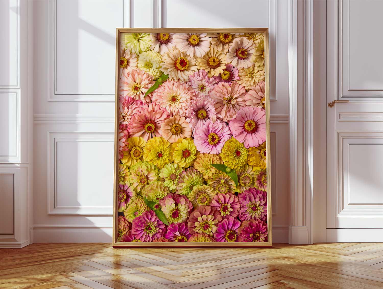 The Zinnias Dawn To Dusk art piece, a large frame showcasing pink zinnias and yellow and orange blooms, leans against an elegant white paneled wall with parquet flooring. Sunlight filters in, highlighting its vibrant hues reminiscent of a fine art paper print.