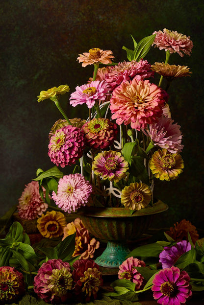 Petals In Flight showcases a bouquet of zinnias in pink, orange, and yellow arranged in a rustic birdcage. Set against a dark background, the vivid flowers stand  out with extra blooms scattered around its base.