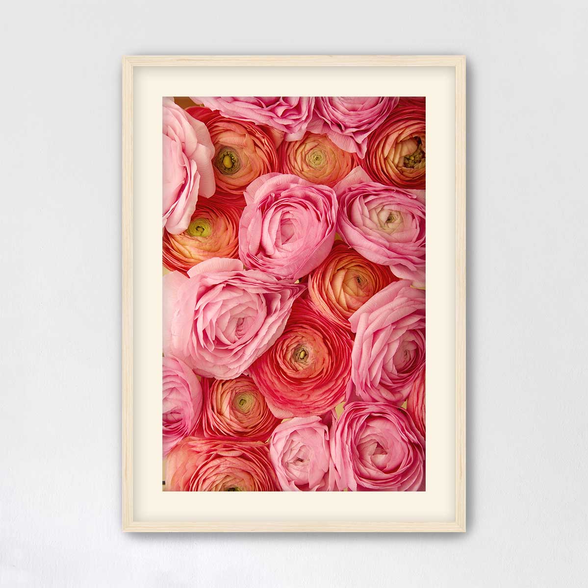 A framed image of a close-up view of pink and orange flowers, likely roses, arranged in a visually appealing manner.