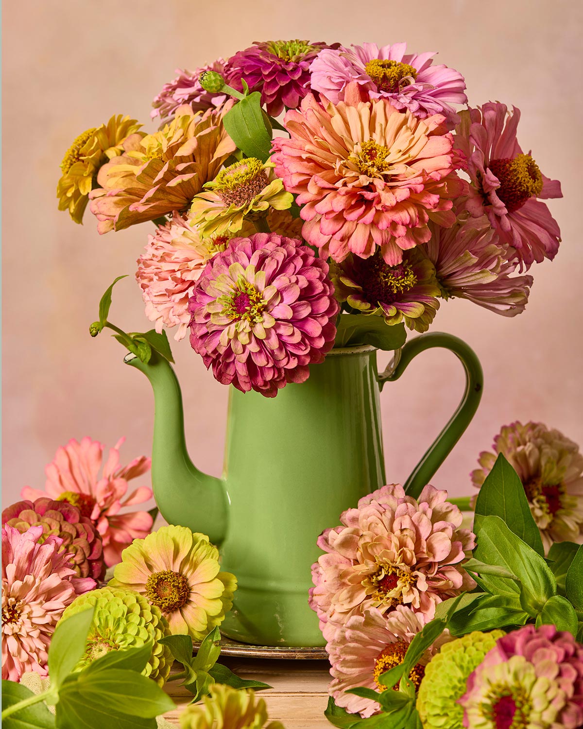 The Steeping Beauty, a vintage green teapot, acts as a vase filled with vibrant pink, yellow, and peach zinnias. Additional blooms surround the base against a soft neutral background, creating a colorful display perfect for fine art paper print.