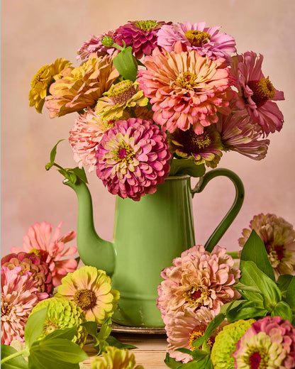 The Steeping In Beauty image features a vibrant bouquet of pink, peach, yellow, and green zinnias elegantly arranged in a vintage teapot. Scattered zinnias at the base and a softly blurred background complete this artful display, perfect for canvas wall art or fine art prints.