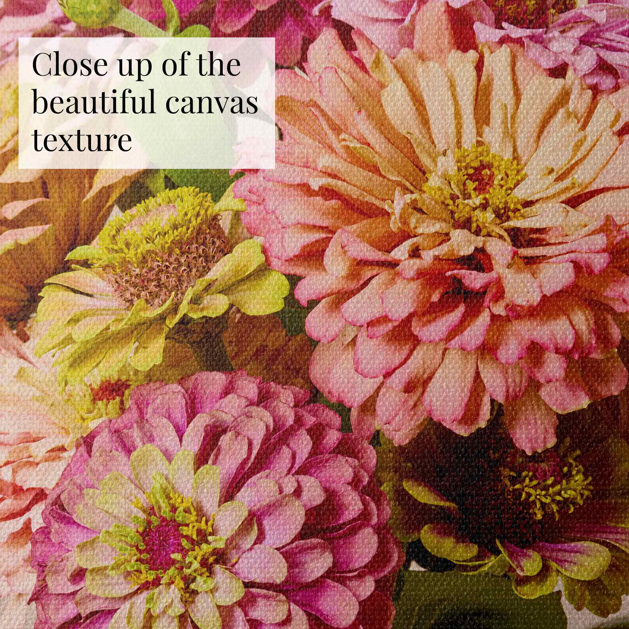 A close-up of Steeping Beauty canvas wall art highlights colorful blossoms, mainly pink, white, and vintage green zinnias. The visible canvas texture enhances the floral details with a text overlay: Close up of the beautiful canvas texture.