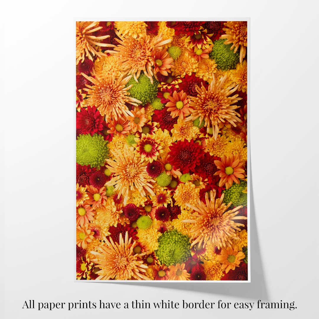 Chrysanthemum Bed - Autumn's Embrace as an art print featuring orange, yellow, and red chrysanthemums with green touches, shown with a thin white border for easy framing.