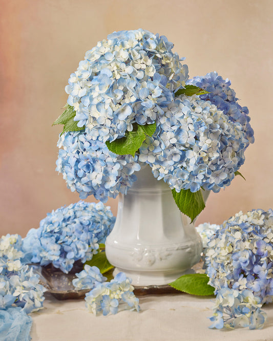 An antique white ironstone pitcher with blooming blue hydrangeas graces a table, titled Dreaming of Something Blue. Scattered hydrangea flowers rest against a soft, neutral backdrop that enhances the delicate pastel hues of this serene scene.