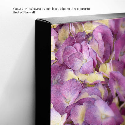 The Hydrangea Bed - Purple Radiance canvas wall art features vibrant purple petals with a 1.5-inch black edge for a floating effect.