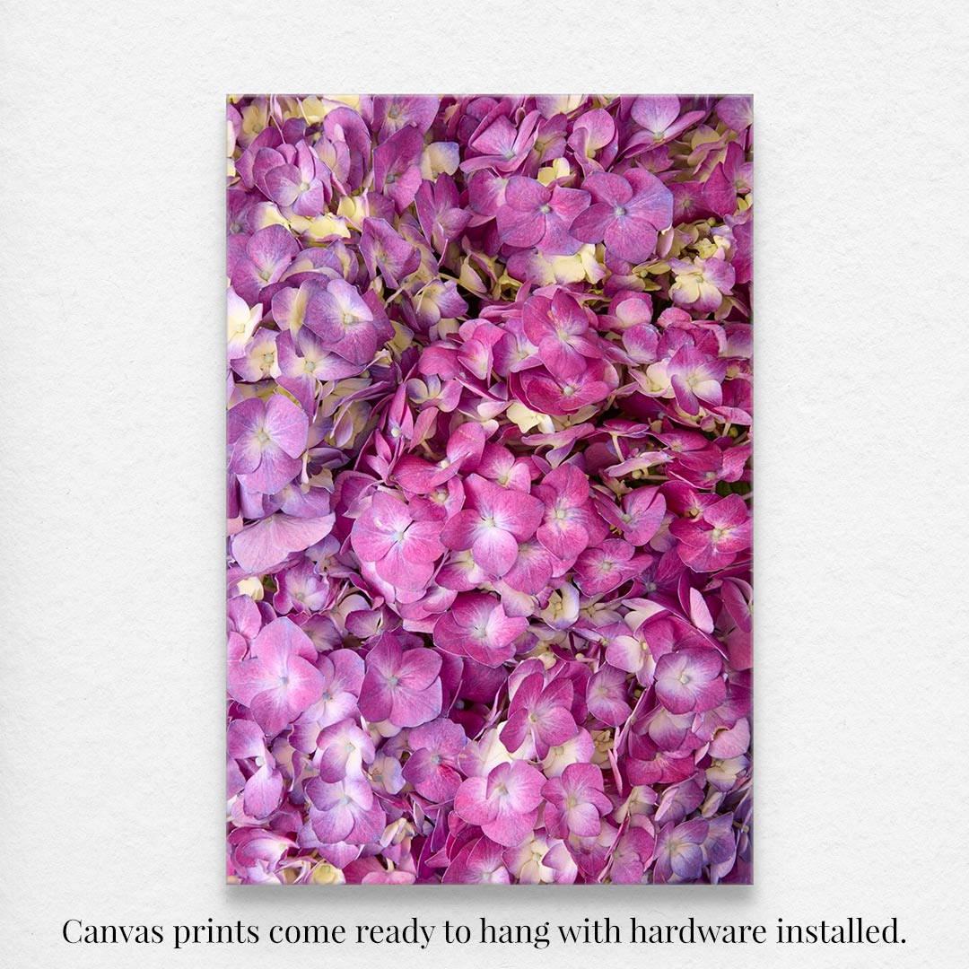 The Hydrangea Bed - Purple Radiance canvas wall art showcasing vibrant pink and purple hydrangea flowers in stunning detail. It comes ready to hang with hardware installed.