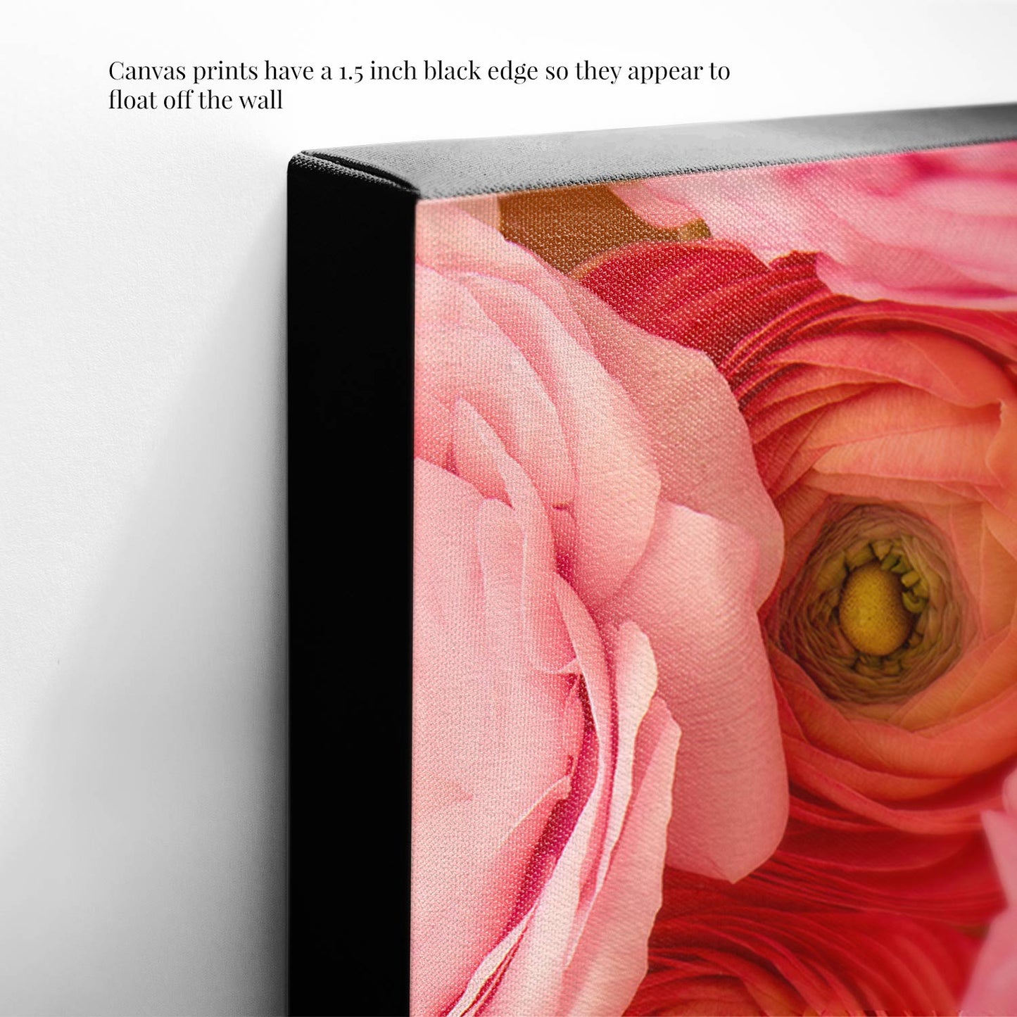 Close-up of the Layers of Love canvas wall art showcases detailed pink ranunculus flowers with a 1.5-inch black edge, creating a floating effect from the wall.