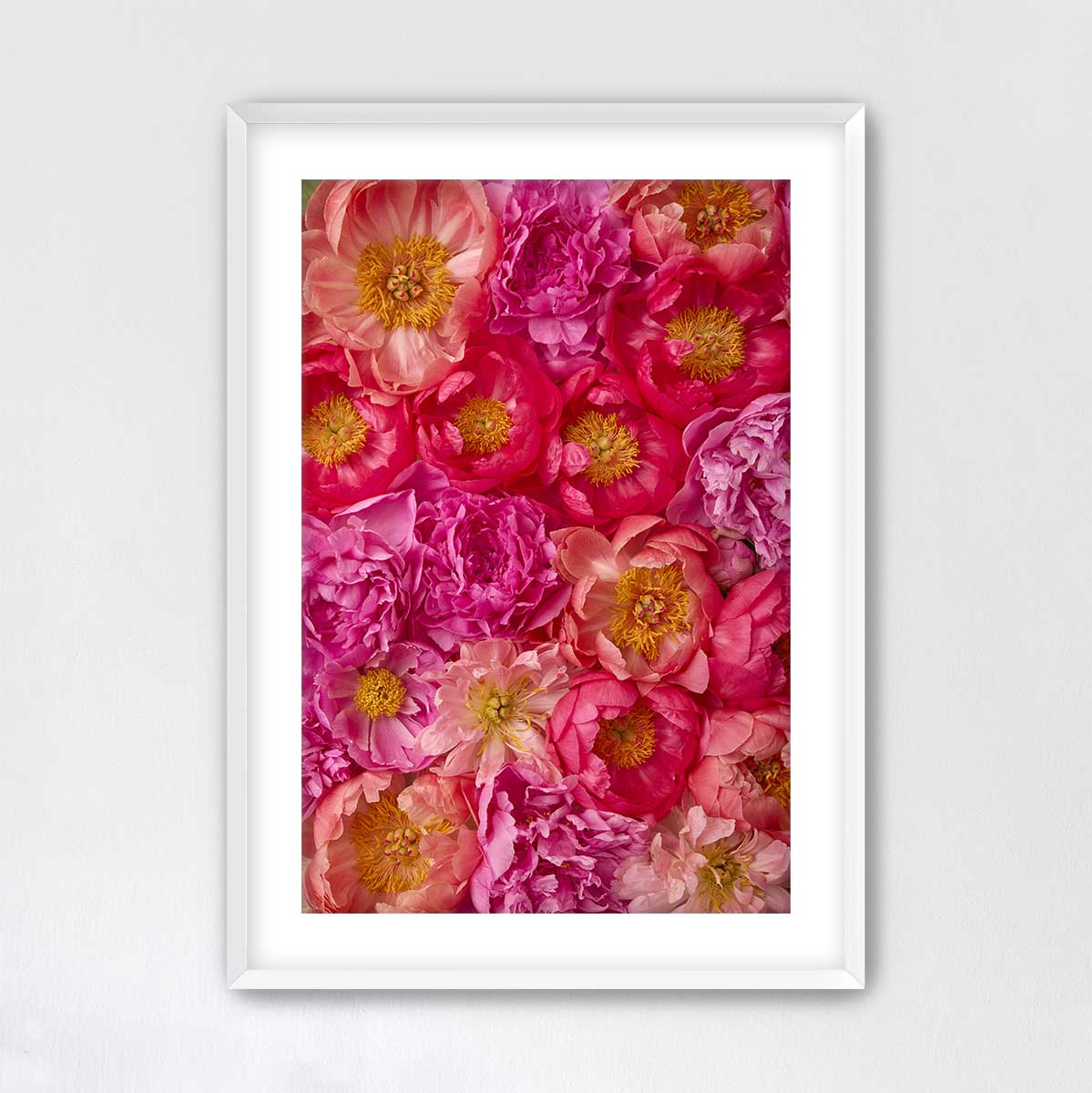 The image is a vibrant and colorful collage of various pink and red flowers, including peonies, roses, and other blooms, arranged in a visually appealing manner.