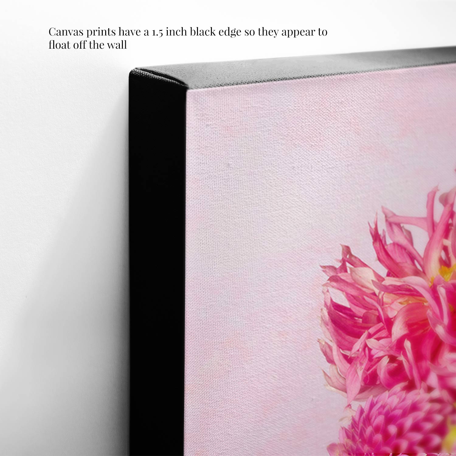 Close-up of the Summer Afternoon canvas print with a 1.5-inch black edge showcasing a vibrant pink dahlia on a light background, creating a floating effect off the wall.