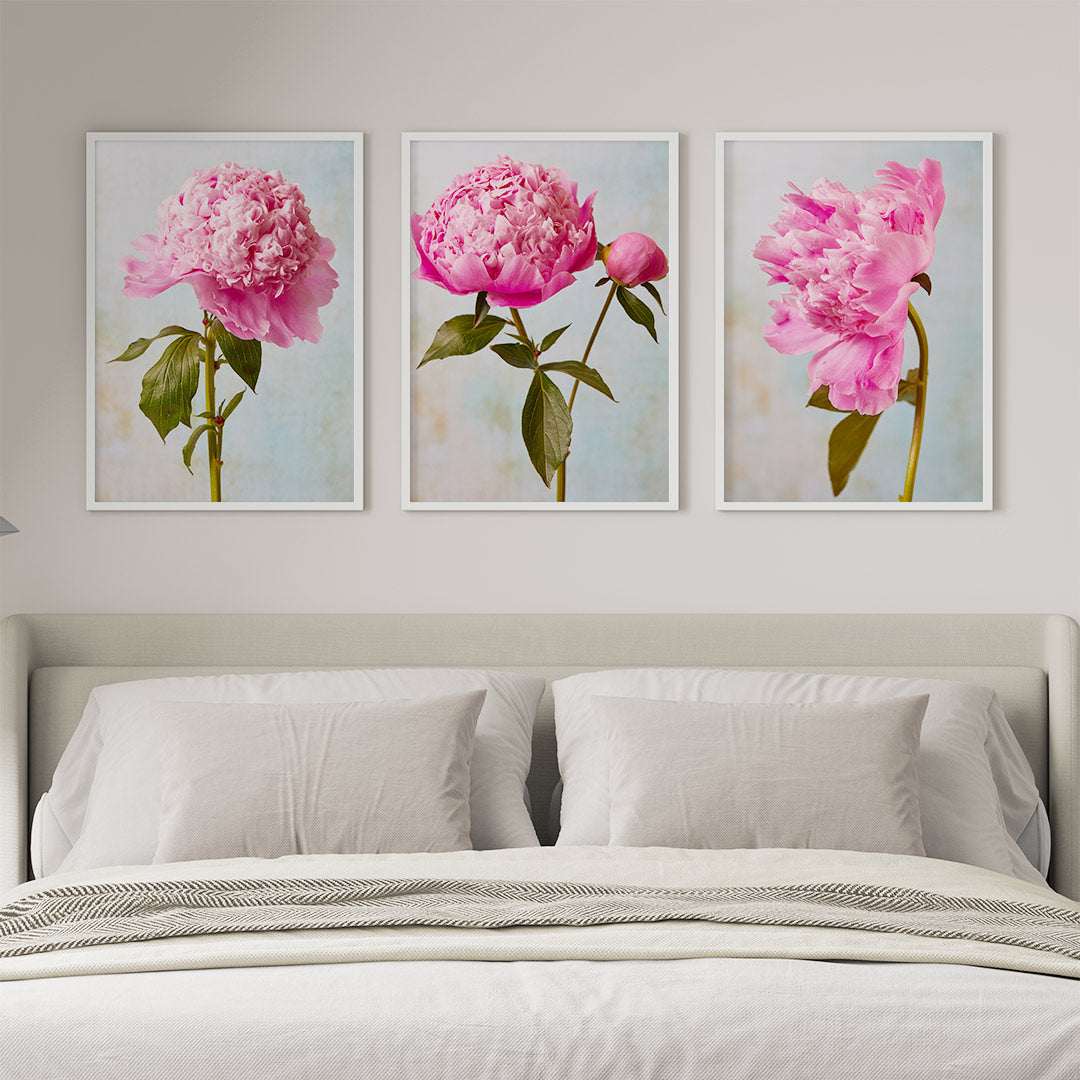 Three framed Peony Sister Portraits hang on a beige wall above a bed with a white duvet and two pillows, capturing timeless romance with views of Sarah Bernhardt peonies and green leaves against a light background.