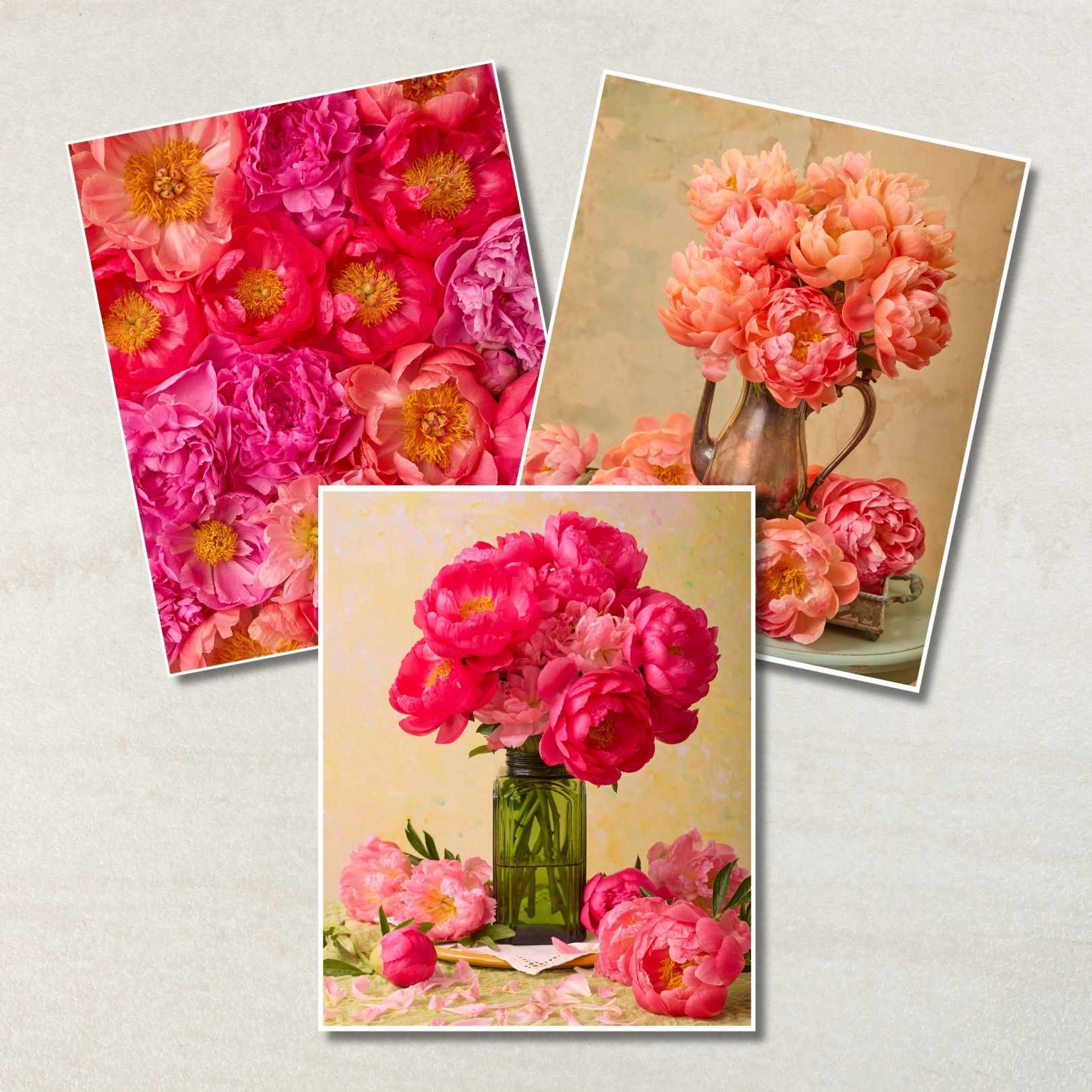 Peony Obsession - 3 Piece Art Set