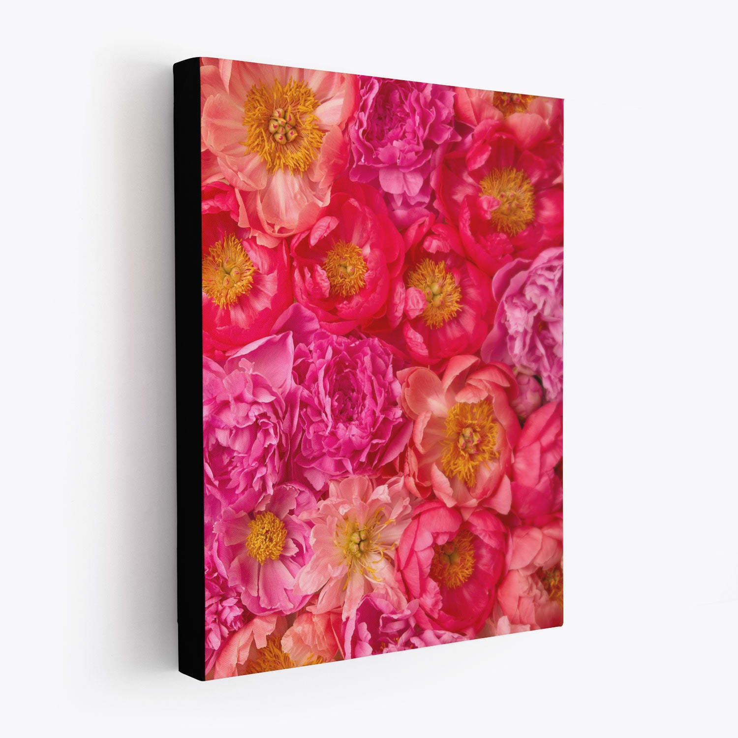 Peony Obsession - 3 Piece Art Set