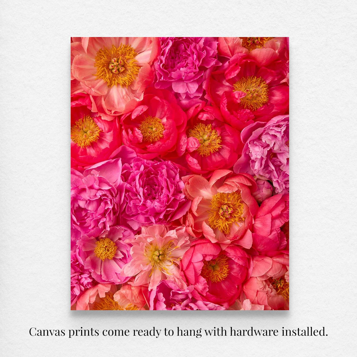 Peony Obsession - 3 Piece Art Set