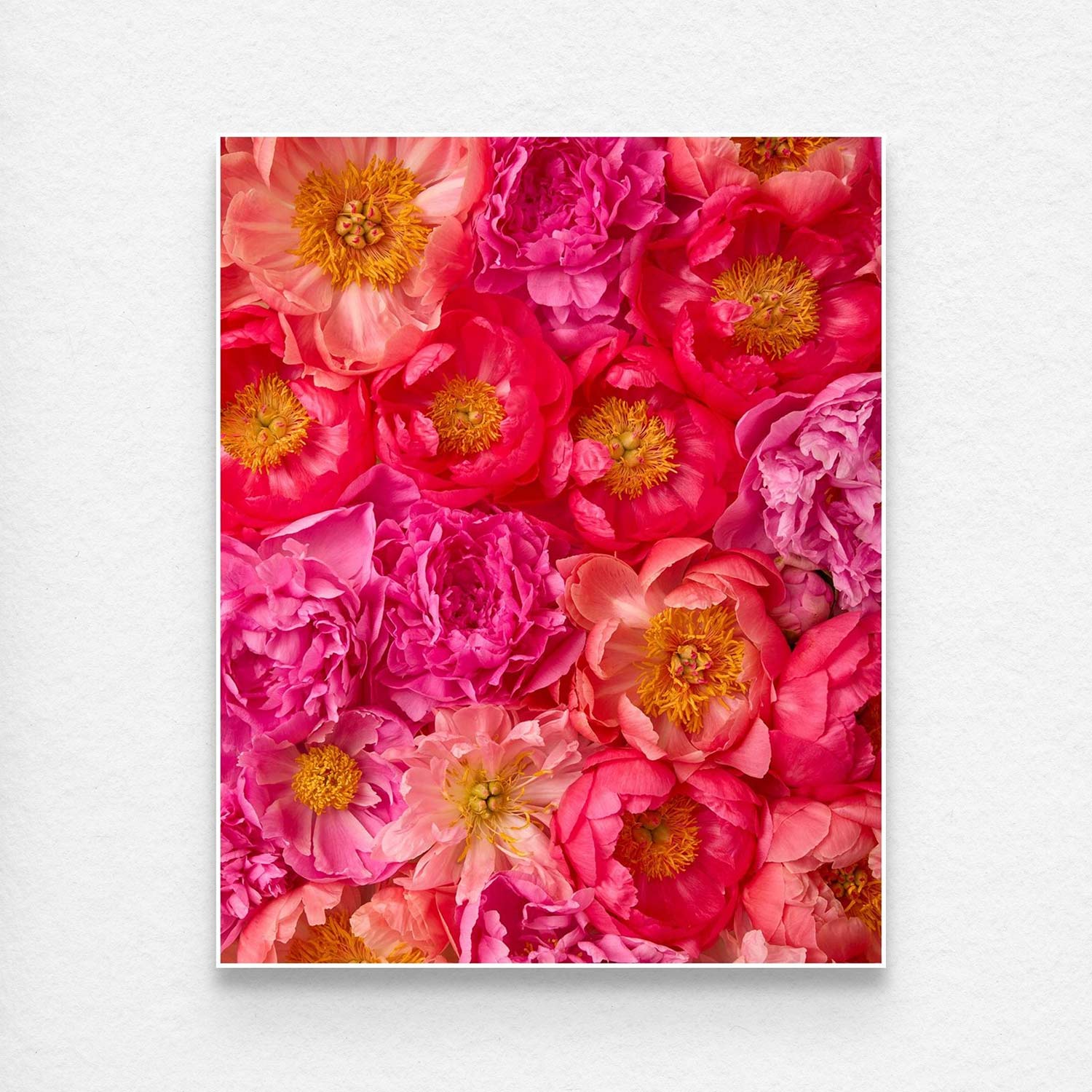 Peony Obsession - 3 Piece Art Set