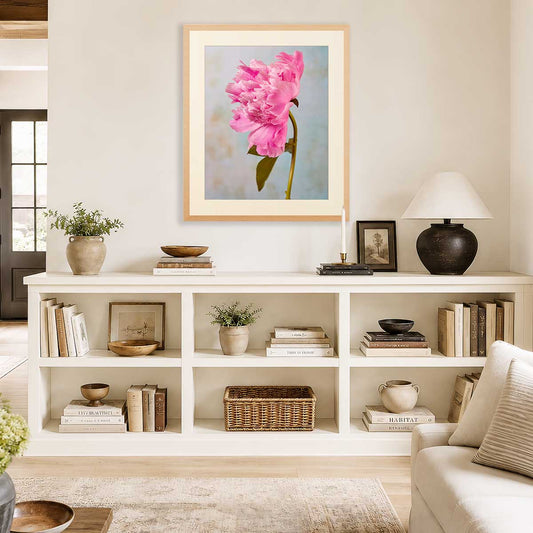 Miss Bashful Peony Wall Art Print with gold frame, pink peony single stem artwork in a living room