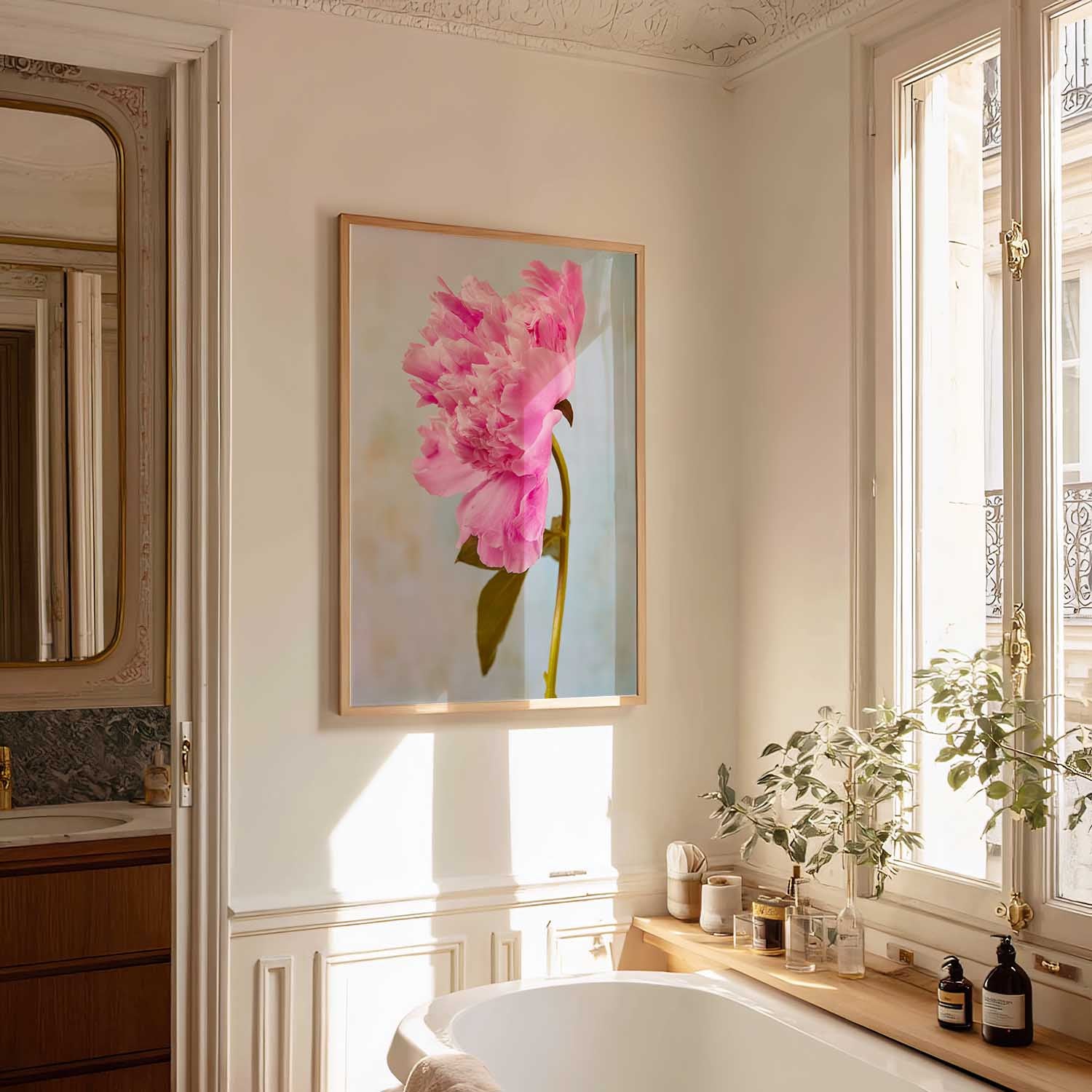 Miss Bashful Peony | Wall Art Canvas