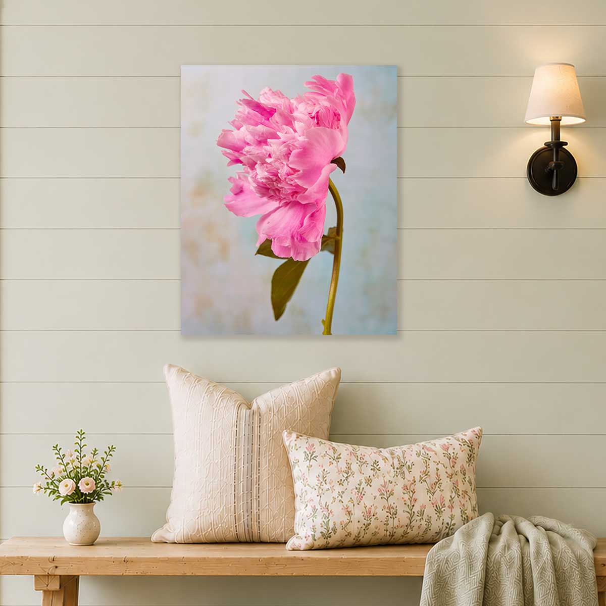 Miss Bashful Peony | Wall Art Canvas