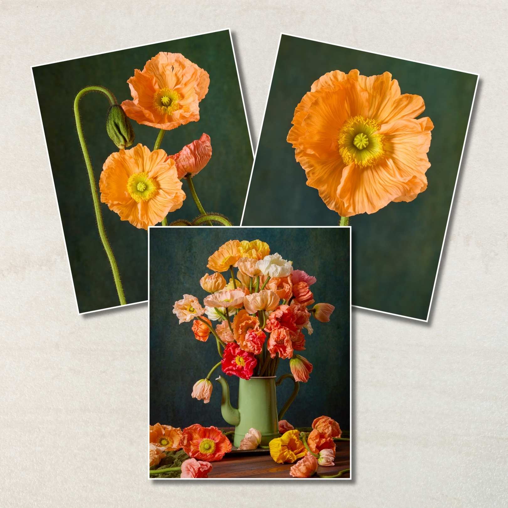 The Poppy Sisters Portraits - 3 Piece features a collage: two close-ups of Italian pastel poppies with green centers and a bottom image of a green vase overflowing with orange, pink, and yellow blossoms spread across the table.