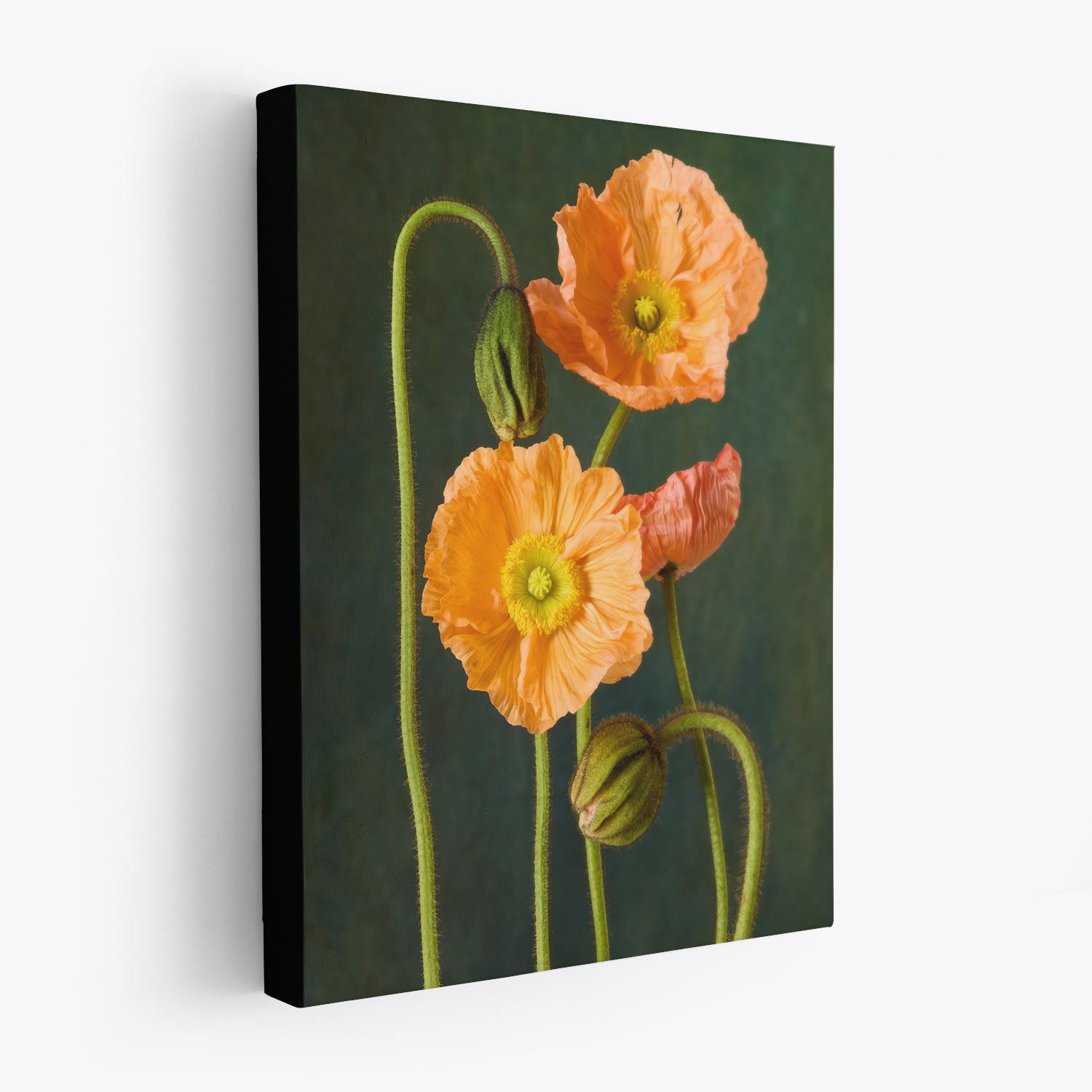 The Poppy Sister Portraits - 3 Piece canvas art depicts three orange poppies on a dark green background. Delicate petals and slender stems form a vibrant, natural scene that exudes timeless romance.