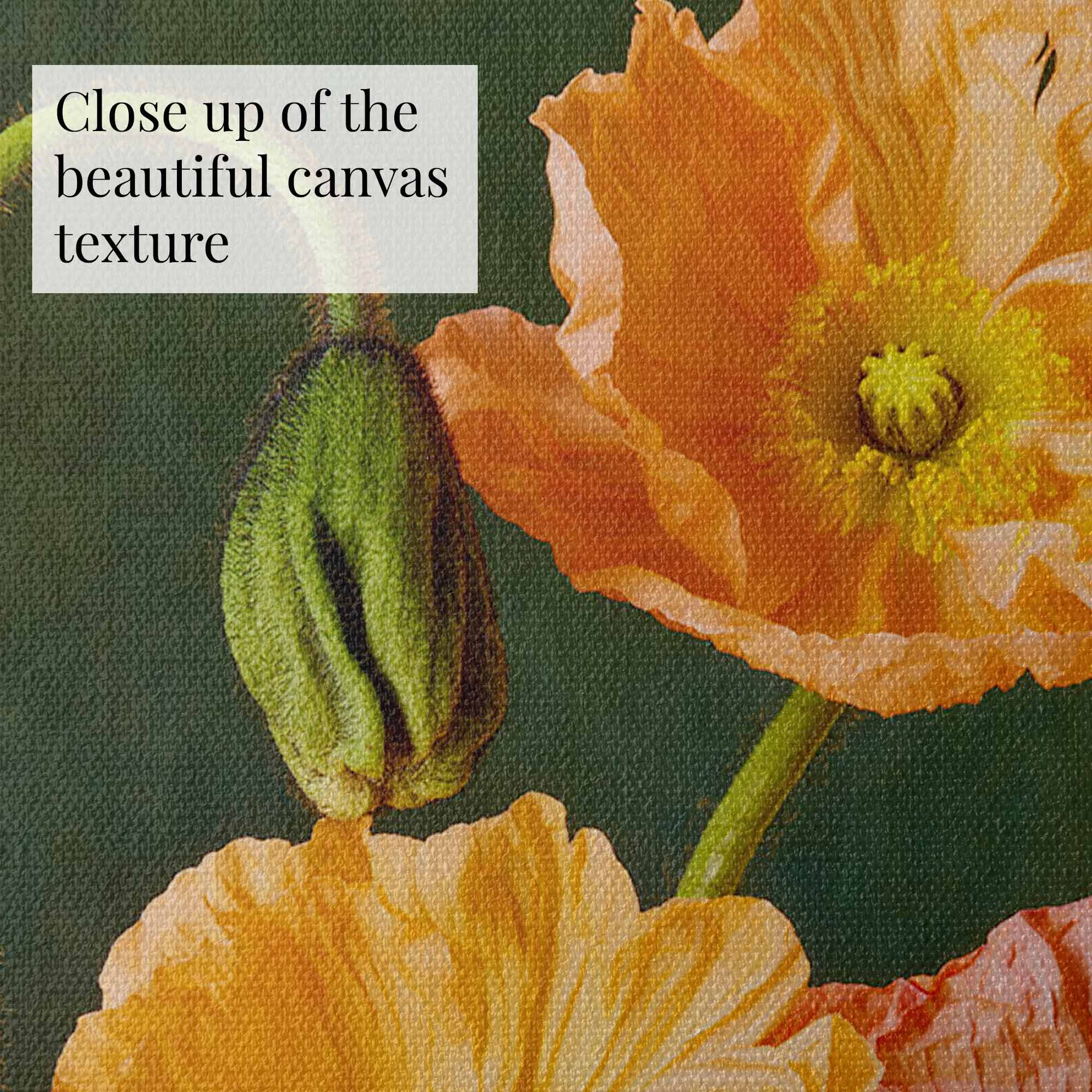 This close-up of a textured canvas painting, part of the Poppy Sisters Portraits - 3 Piece set, displays vibrant orange Italian pastel poppies with green centers on a dark green backdrop. A budding poppy and textured brushstrokes enhance the depth of this still-life image.